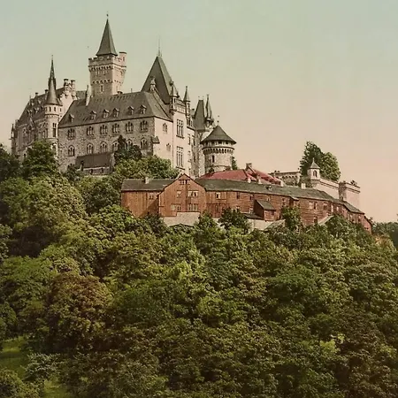 Im Harz * Veckenstedt