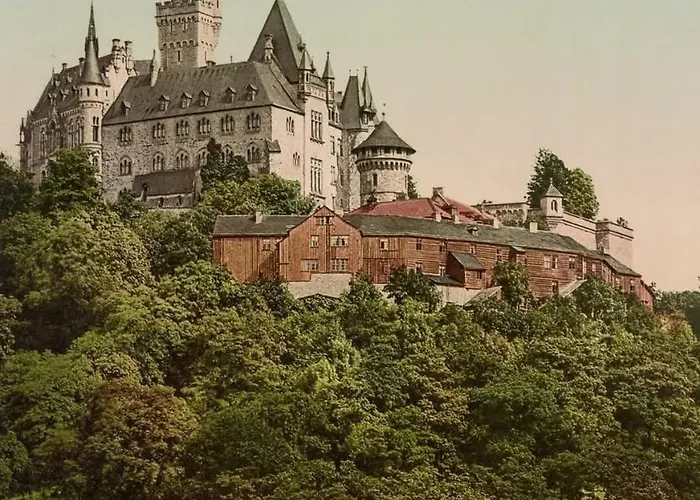 Im Harz * Veckenstedt